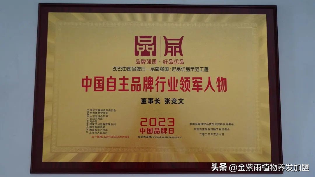 金紫雨这个品牌怎么样,金紫雨品牌创始人