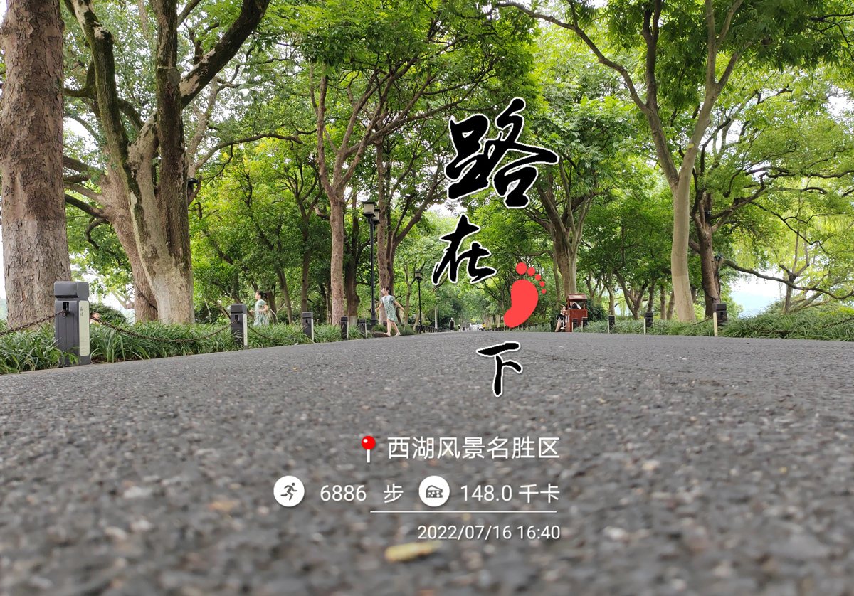 荣耀70评测：颜值才华兼备，旗舰IMX800要你好看，五星好“屏”