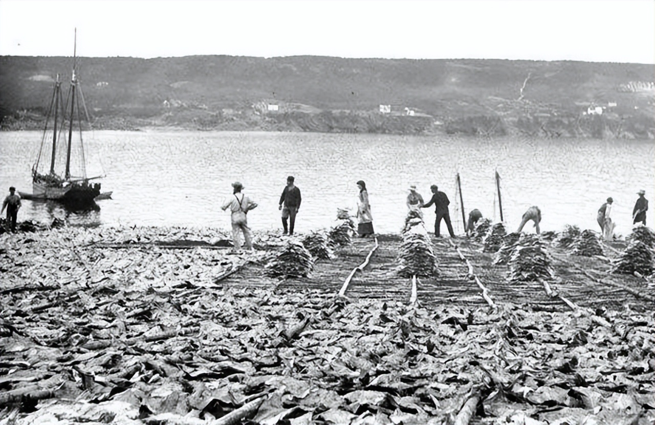 中国第一大型渔港,中国第一海水渔港