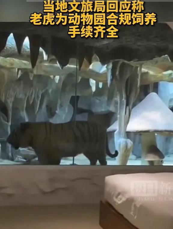 老虎主题酒店江苏南通,一家酒店惊现老虎