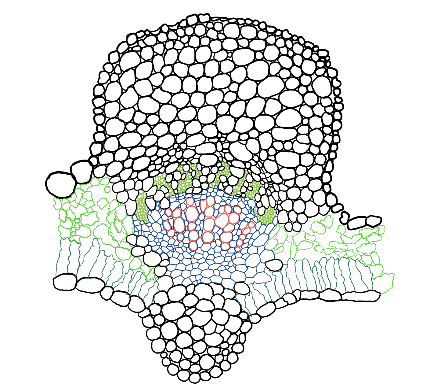 illustrator图像变大,illustrator变黑白