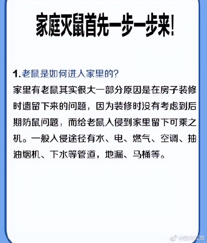 对付家里老鼠的最好办法,什么办法抓家里老鼠最有效