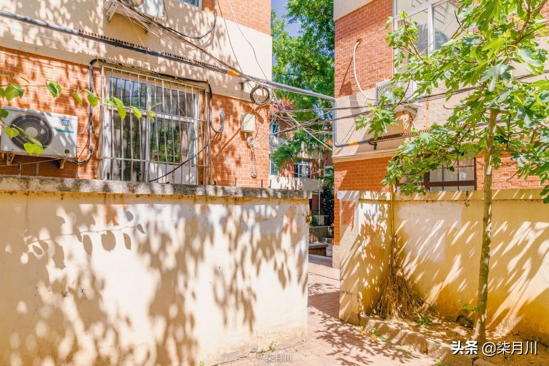 青岛旅行攻略比心,冬季旅游青岛攻略汇总