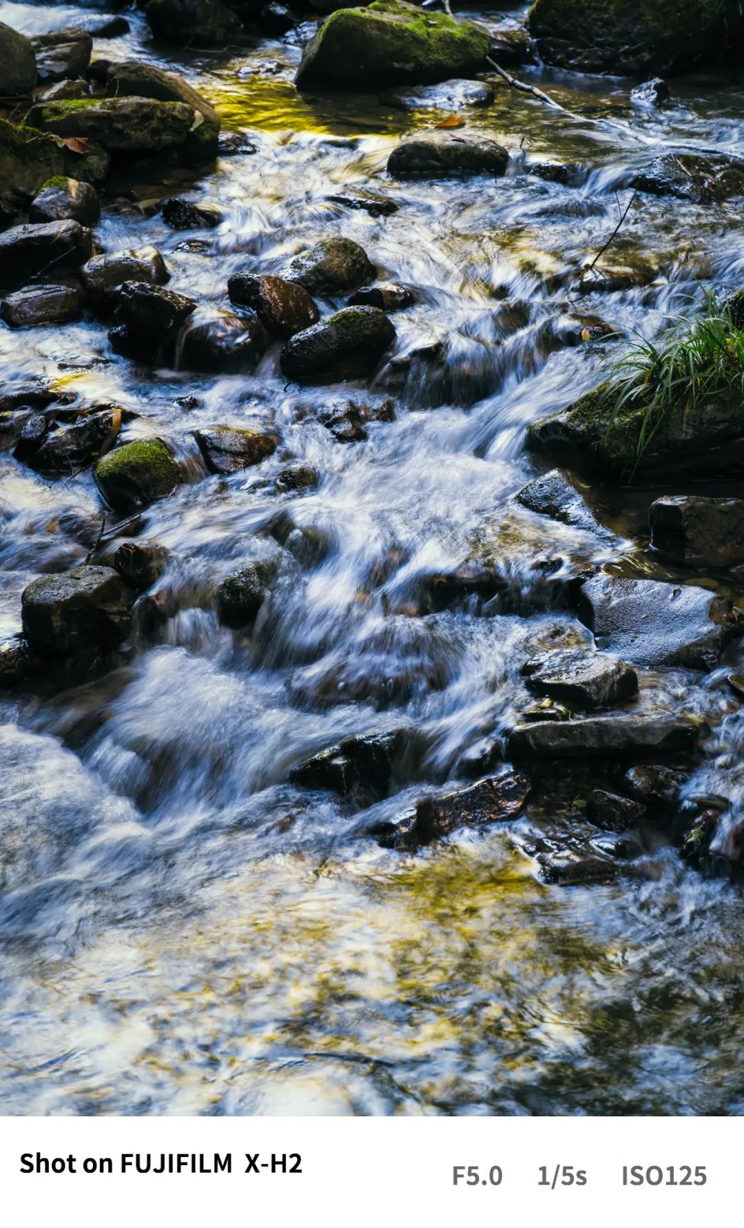 富士xh2s和富士xh2评测,富士xh2实拍体验