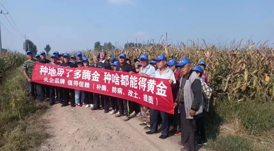 第六届中国农民丰收节,中国农民丰收节