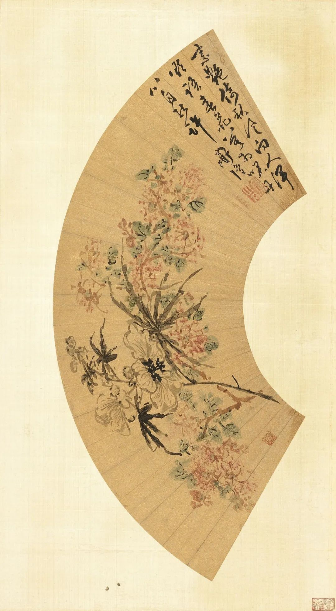 慕容看世界的视频,慕容看世界所有视频