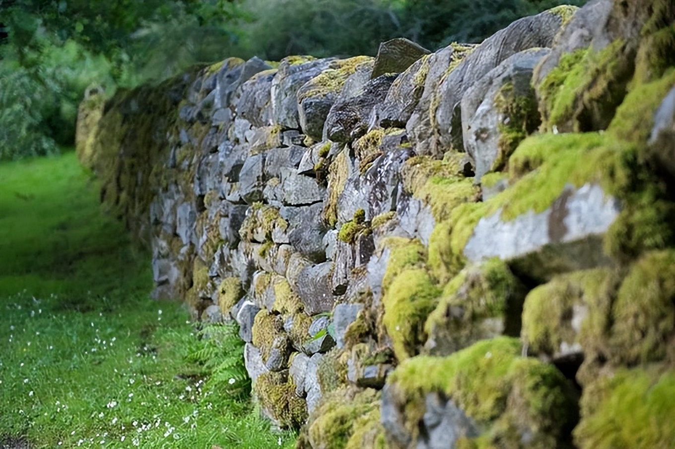 现代式庭院石墙,庭院老石墙院墙怎么处理好