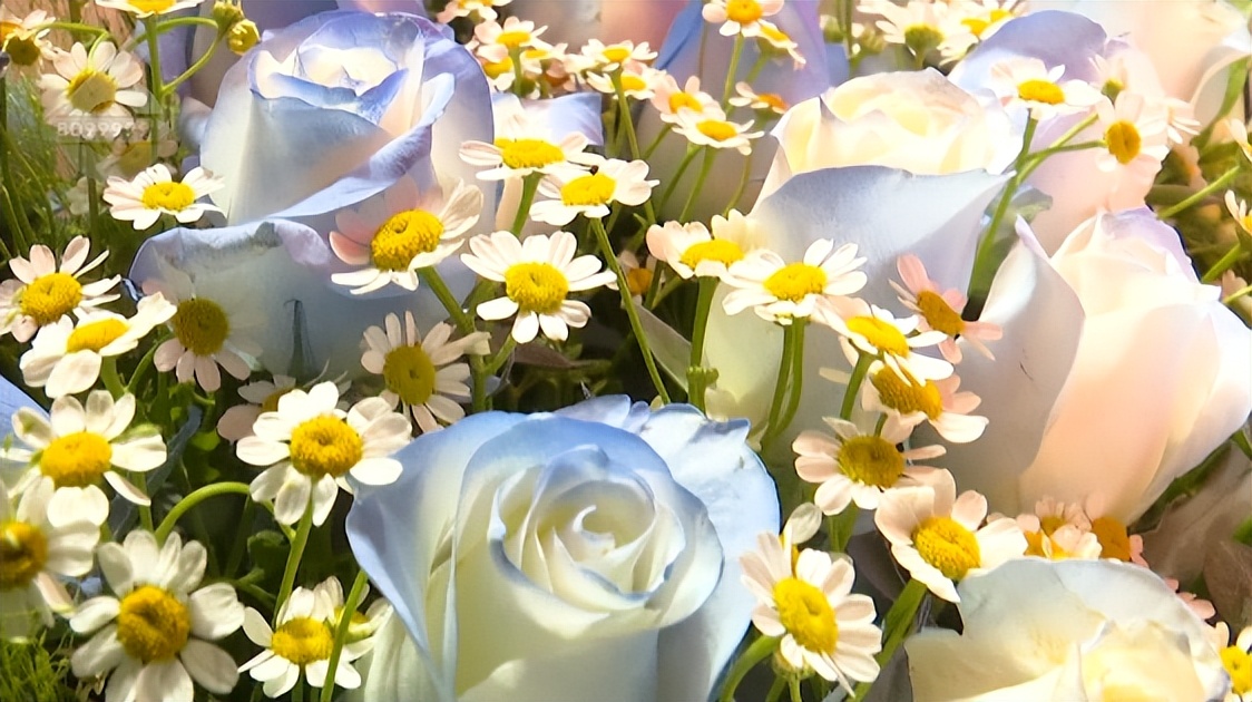 昆明滇池的爱情故事,昆明巷里的爱情故事