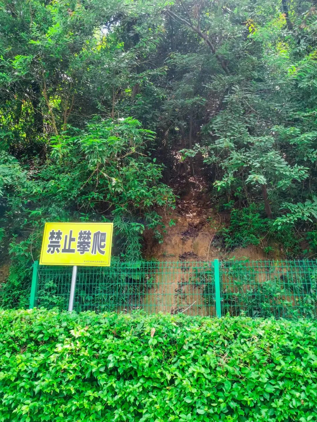 火炉山徒步登山路线图解,徒步中山铁炉山