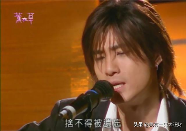 薰衣草从零开始,薰衣草诠释爱情