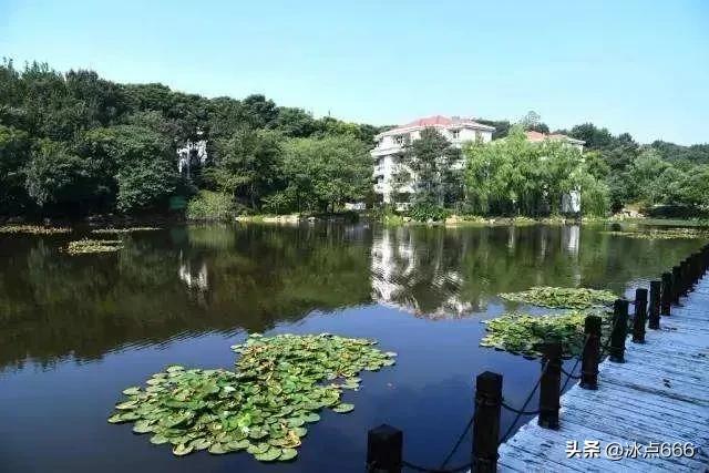 错失211又无缘“双一流”的南京工业大学2022年在河北录取情况