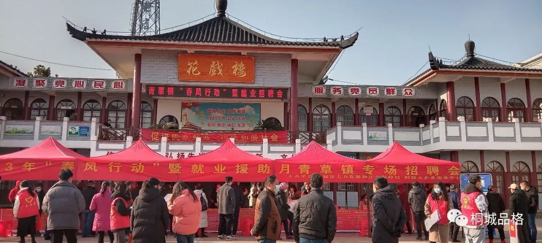 桐城纵横人力抖音,纵横人力桐城