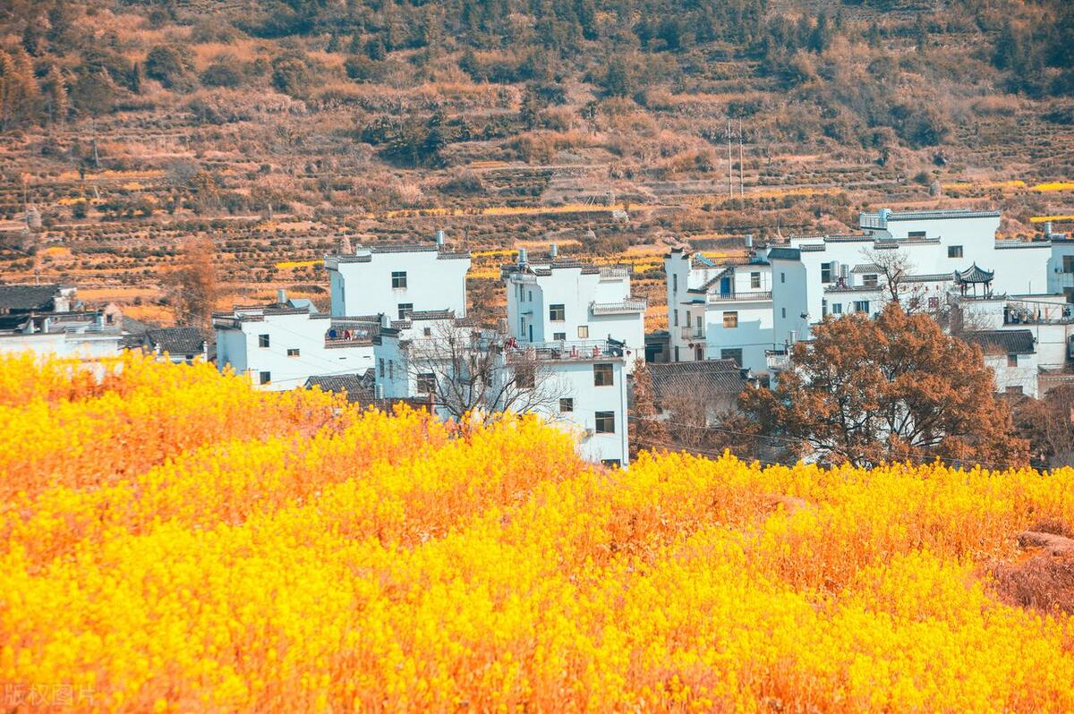 最美乡村婺源图片,中国最美乡村婺源图片