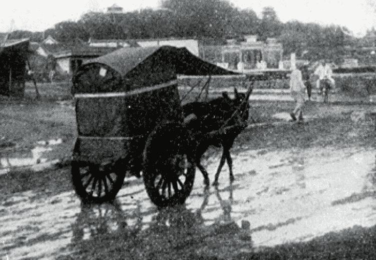 清末老照片晚清名伎貌美如花,老照片清末旗人贵妇貌美