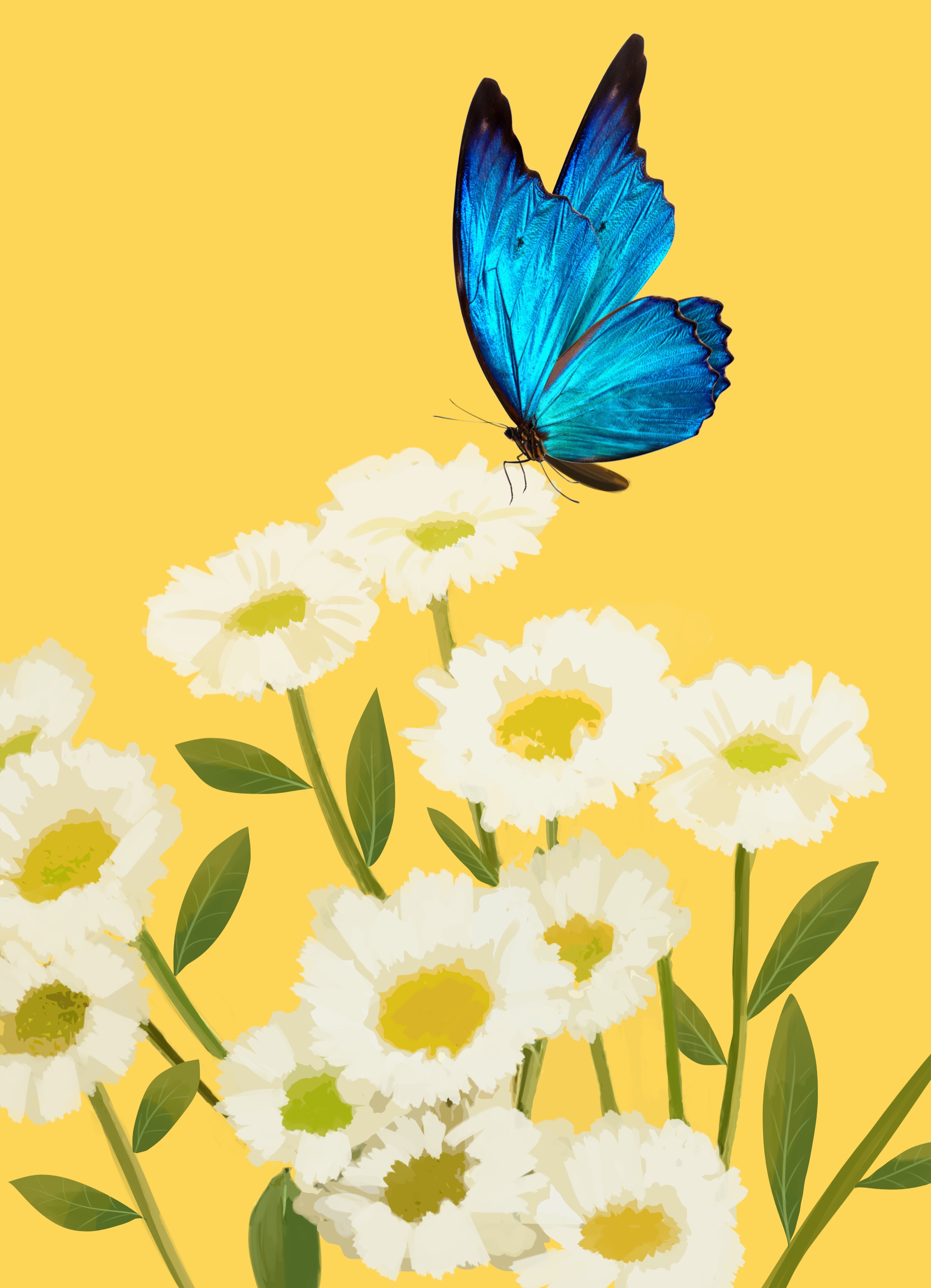 避免吵架的最好方式就是不说话,如何正确吵架越吵越亲密