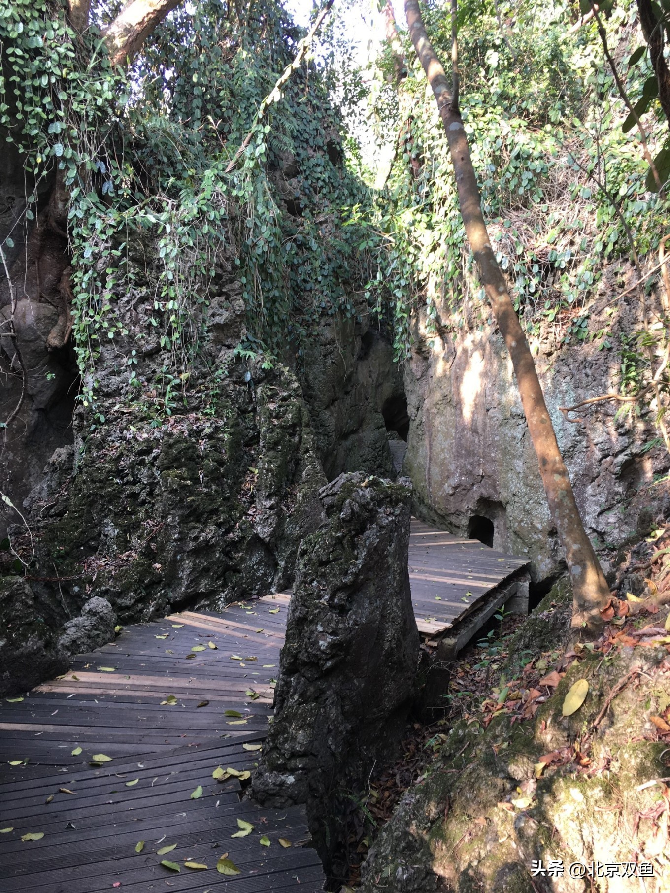 贵州黄果树最美的地方,贵州黄果树旅游攻略自由行