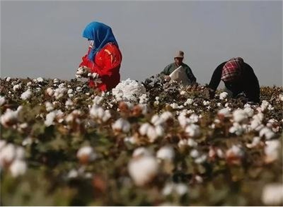“*疆新**棉花”事件的真凶许秀中，*国卖**求荣，如今生活困难却想回国