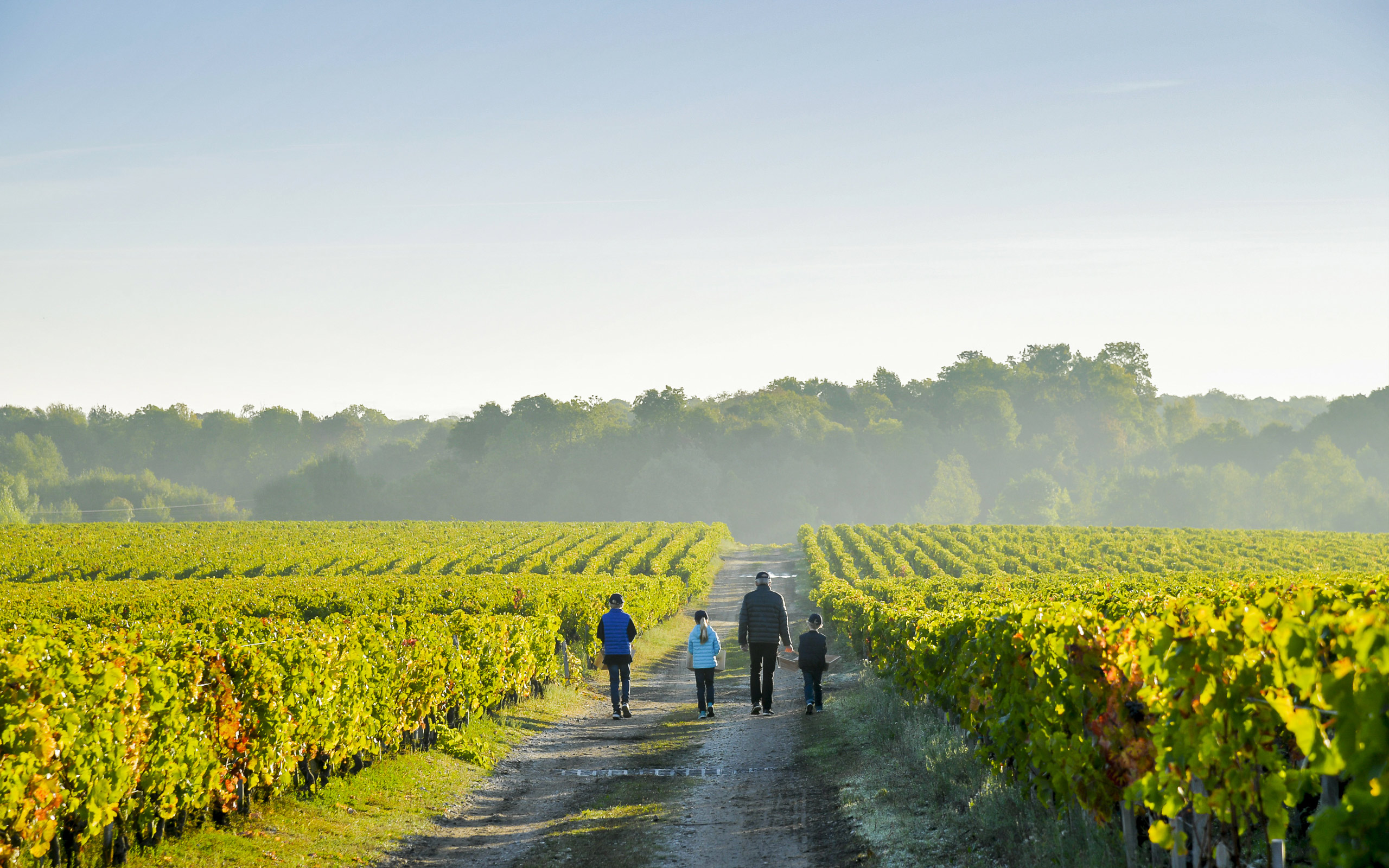 超二级庄五级庄,超二级庄