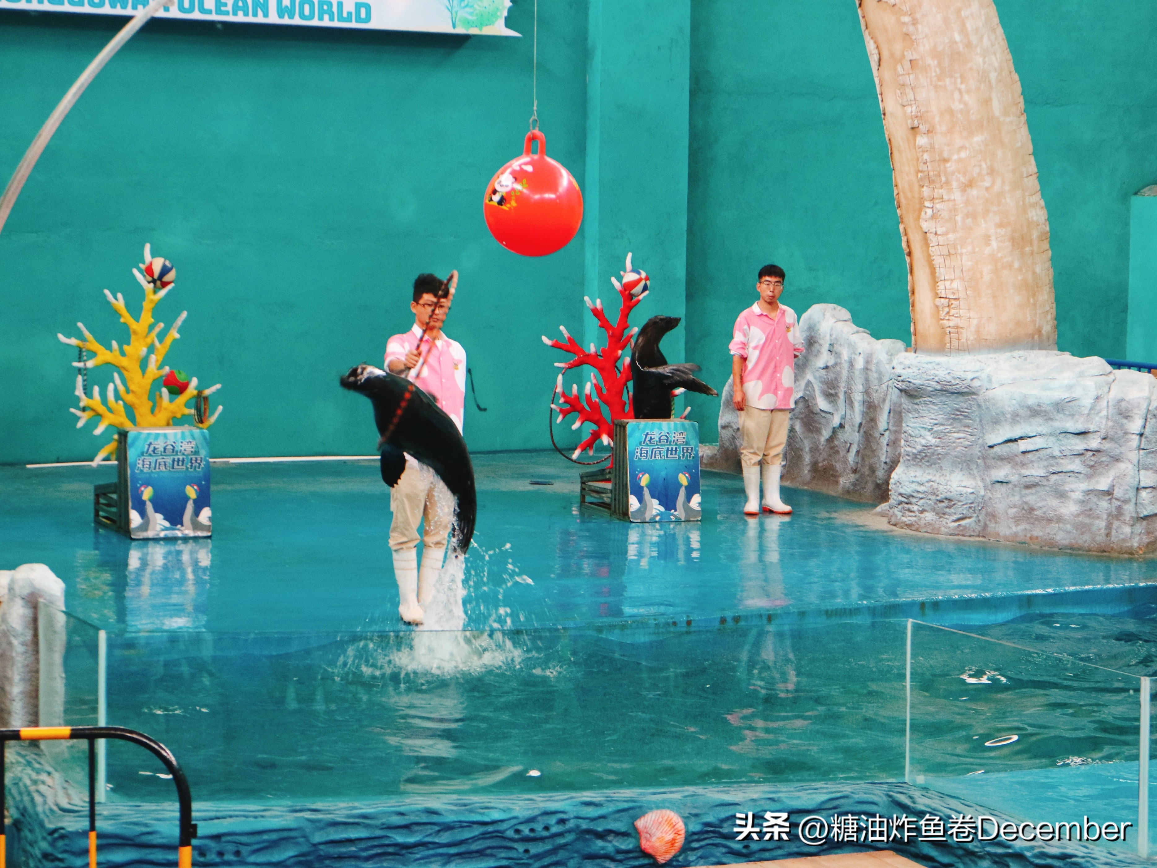 龙谷湾恐龙乐园扶绥攻略,扶绥龙谷湾恐龙公园游玩一天够吗