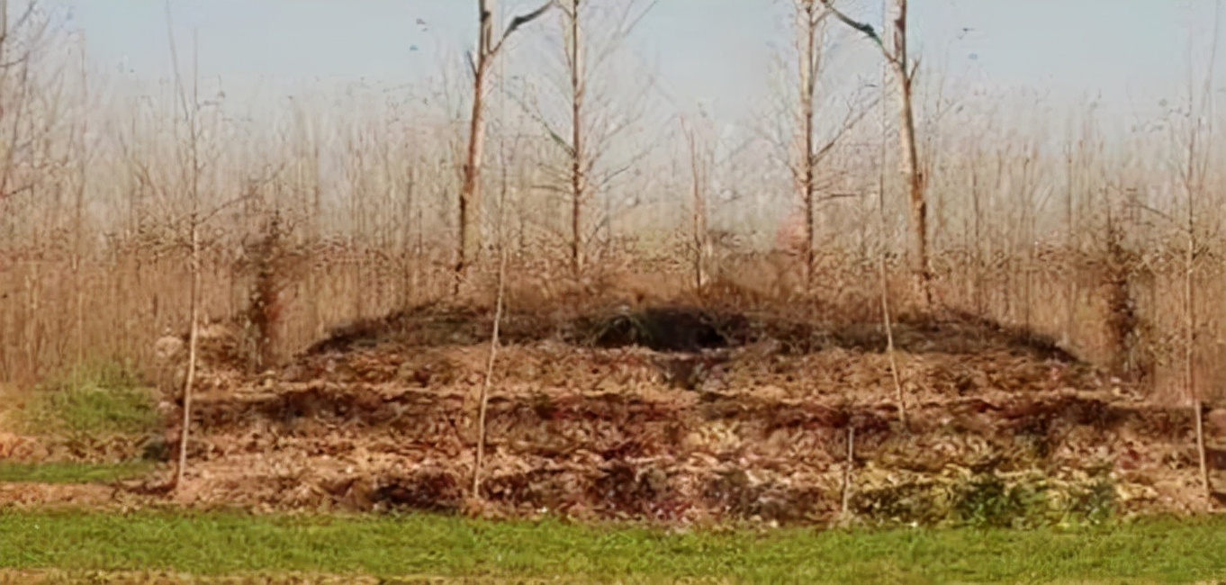 获嘉72冢之小磨盘冢：土地爷勇斗江洋大盗黑二豹的民间传说