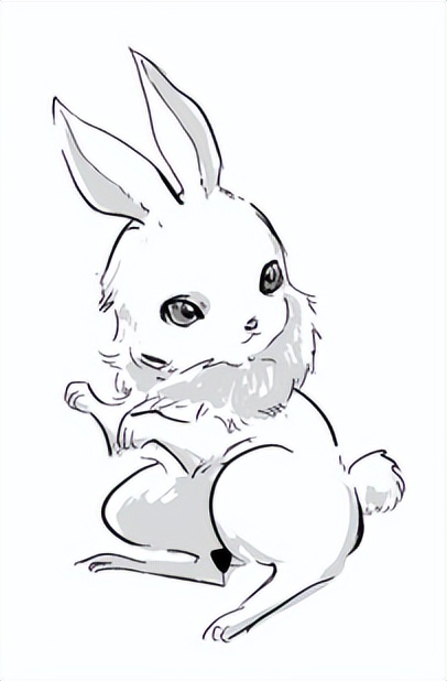 汉字演变十二生肖之兔,说文解字十二生肖之猴