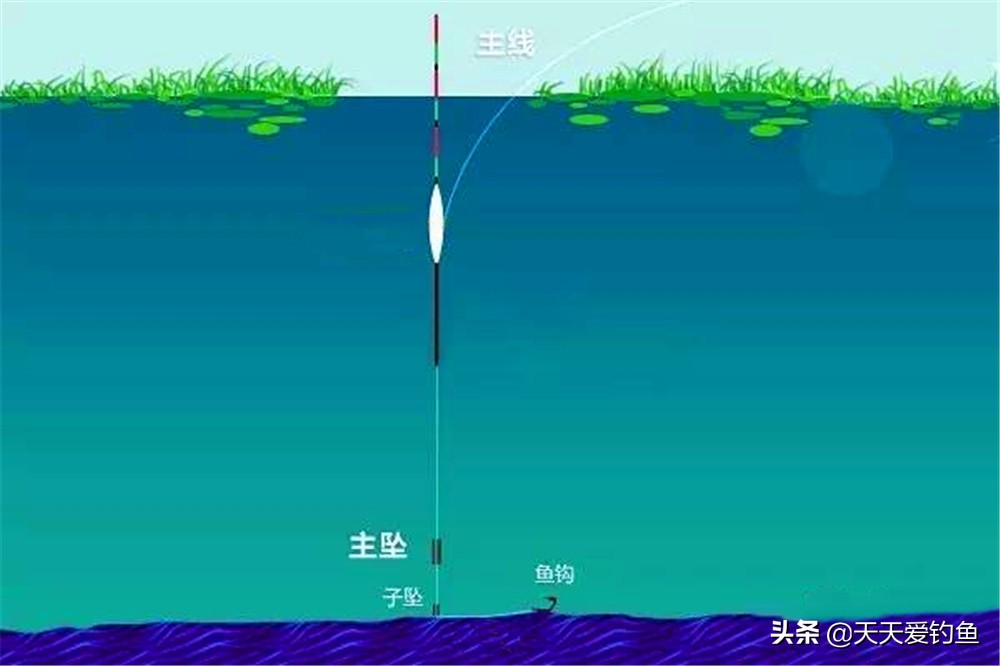 如何解决冷水鱼不开口,大冷天鱼为什么不开口