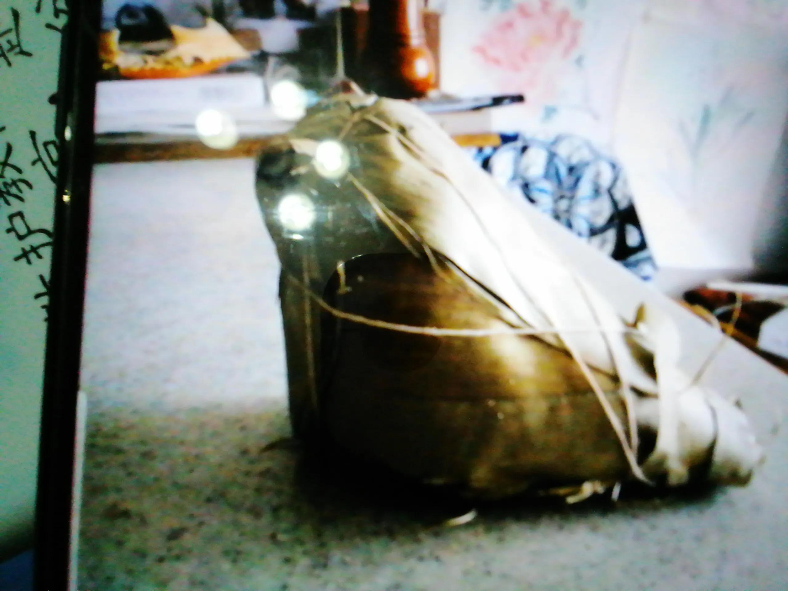 你见过这么大的粽子吗,有什么奇葩馅的粽子