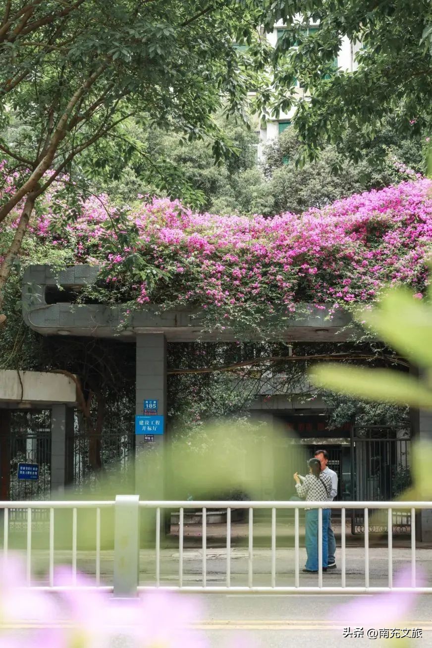 当南充美景遇上“多巴胺”这就是想象中夏天的样子！