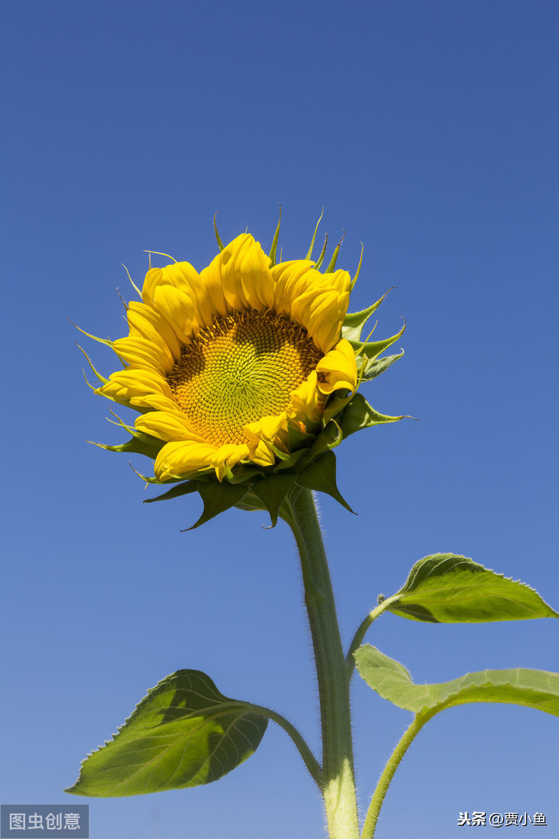 不可轻视新冠病毒,感染新冠病毒到底多可怕