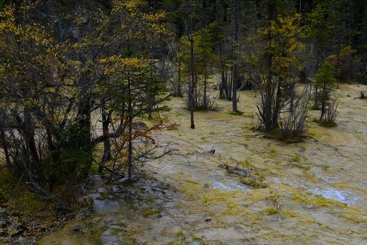 卡龙沟景区有什么好玩的,卡龙沟穿越松潘