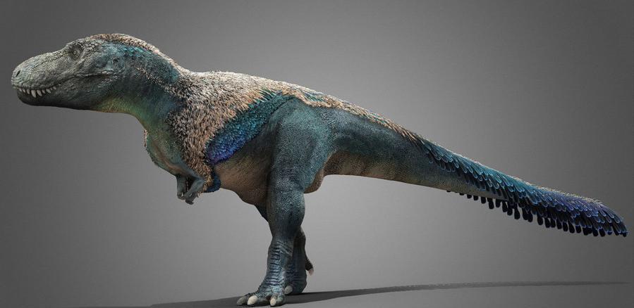 鸡的祖先是霸王龙？它为何每天都下蛋，细数鸡身上的“恐龙基因”