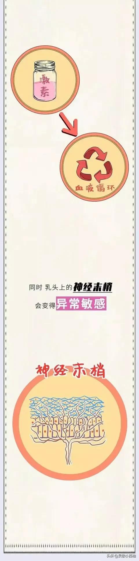 女生的第一次后，身体会发生哪些本能变化？女性们认真了解一下