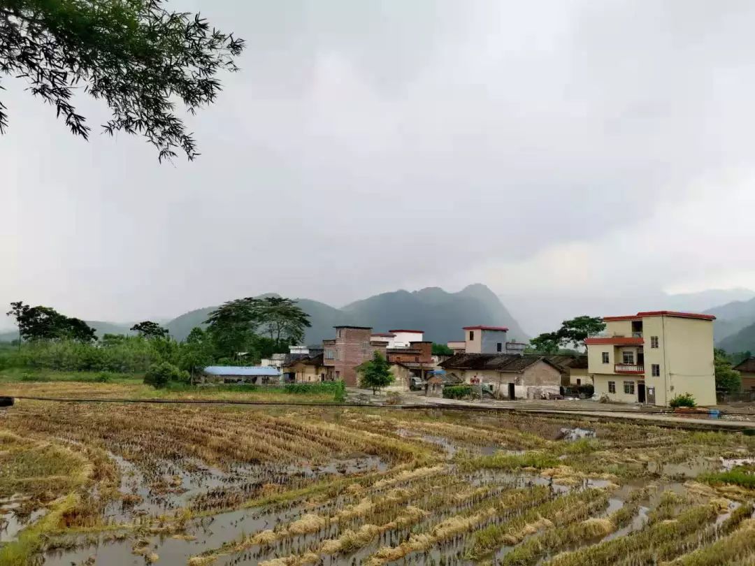 药店营业员一般月入多少钱,药店营业员有什么猫腻