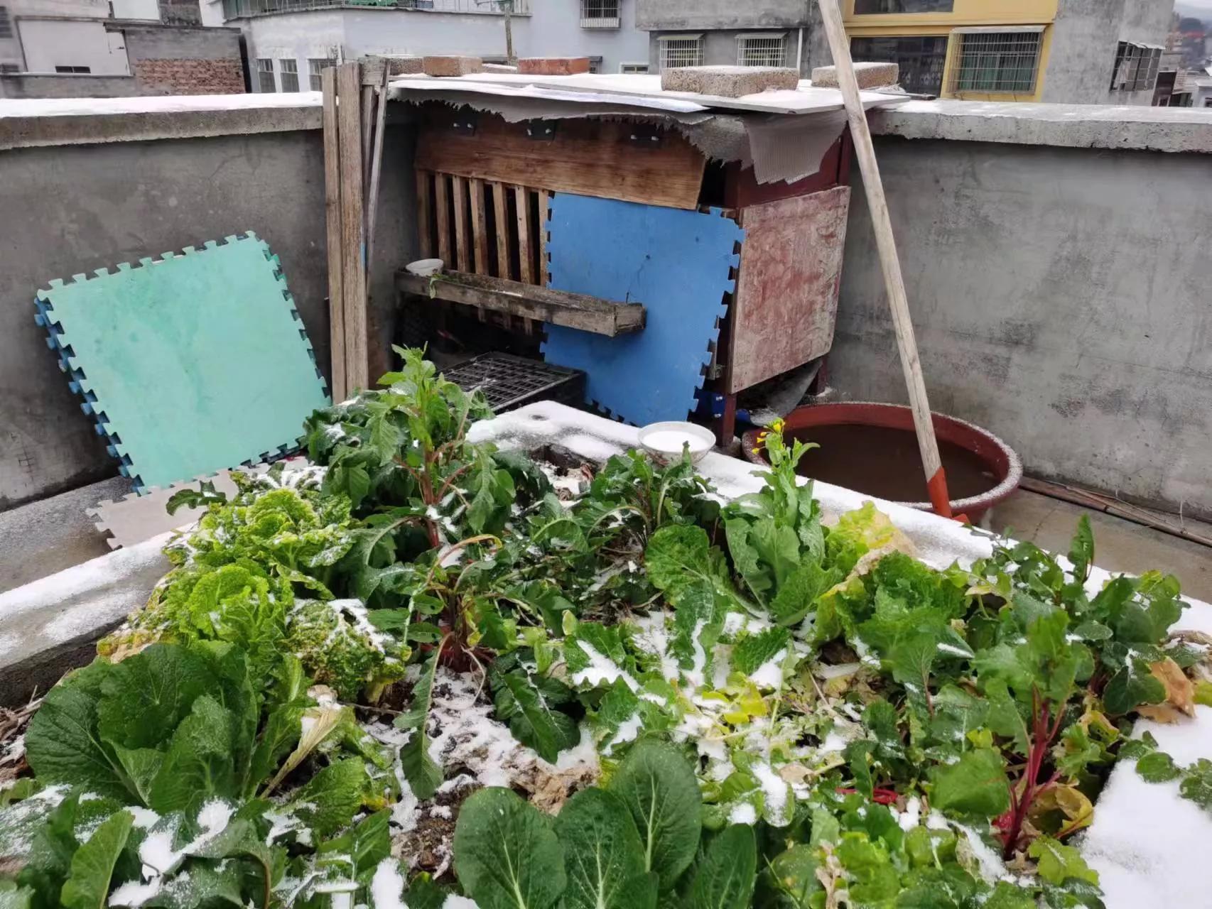 瑞雪兆丰年年货精选,瑞雪兆丰年购物