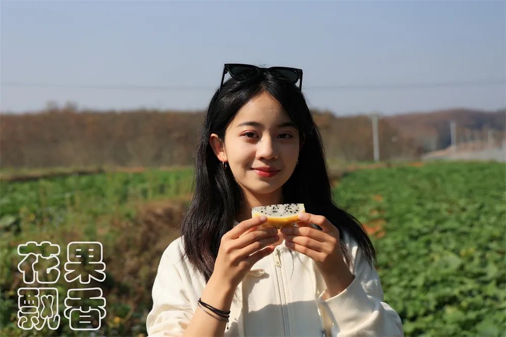 冬季好卖的水果有哪些,比较容易卖的水果有哪些