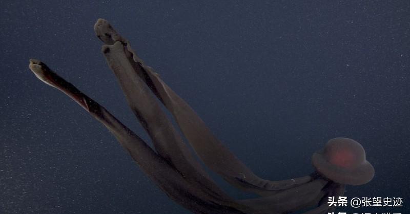 日军找“花姑娘”有多少*行暴**?老人回忆:日本兵没有一点人性2