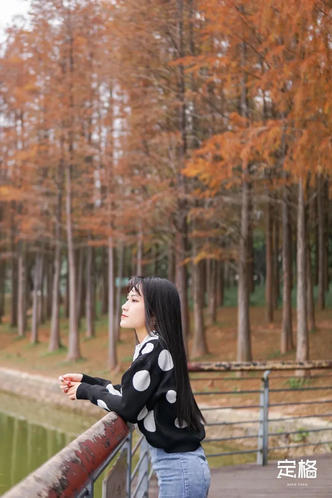 深圳地铁可以直接去的免费景点,深圳免费地铁直达景点12号线