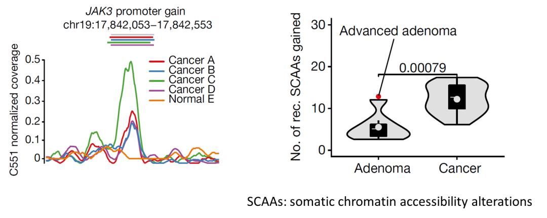 背靠背nature|空间多组学解析肿瘤演化