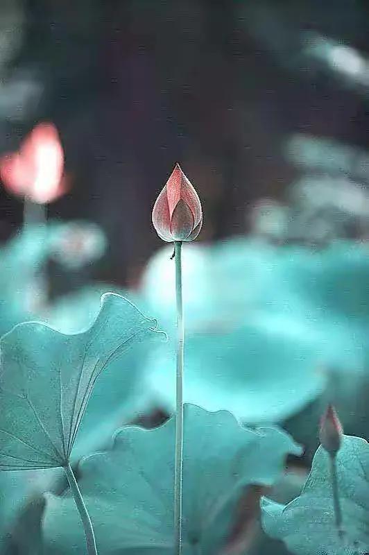 人生需要把握一个平衡点,人生需要平衡幸福需要感受