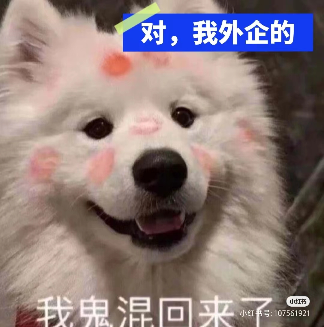 在外企工作过有什么优势,在外企上班是什么感受