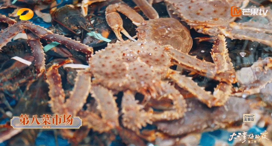 潮语版陈小春,陈小春张智霖大湾区