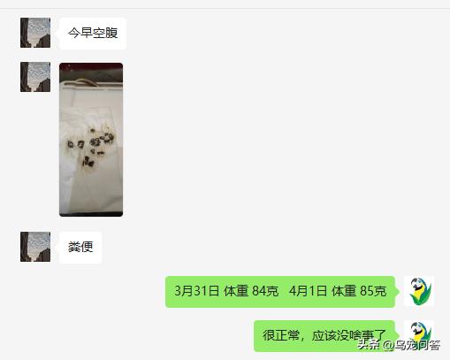 鹦鹉撞出脑震荡什么反应,牡丹鹦鹉脑震荡表现