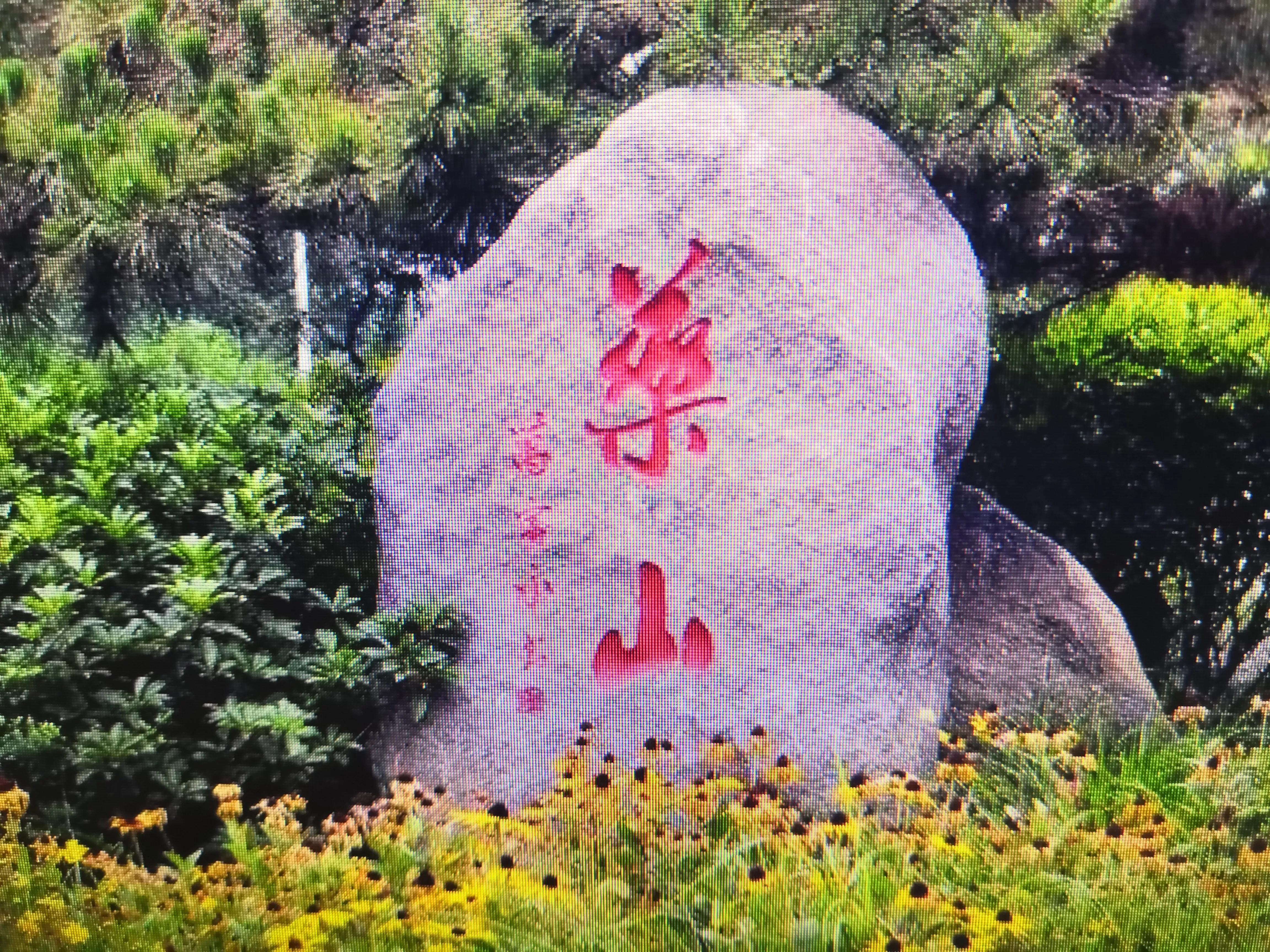 济南最宜居的城市排名,济南是一座什么之城