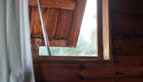 房间里突然多了好多蟑螂怎么解决,房间有蟑螂怎么彻底解决