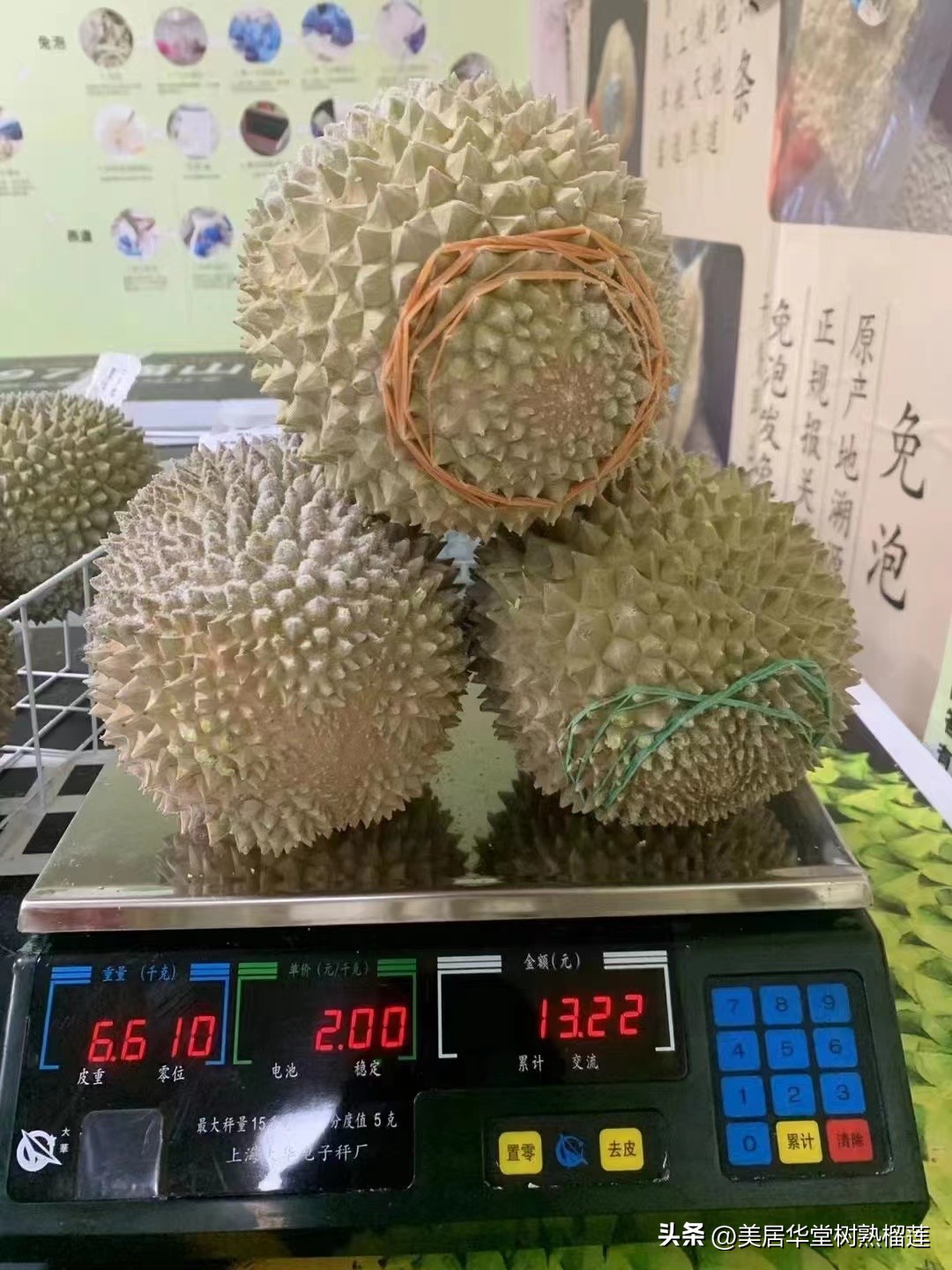 马来西亚猫山王榴莲d101和d197,猫山王榴莲d197和d101的区别