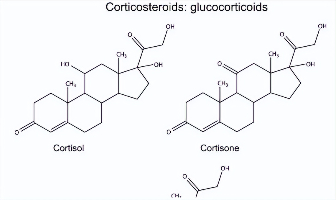 女性“巨阴症”是病？真会影响生育？医生直言：主要看这3种情况