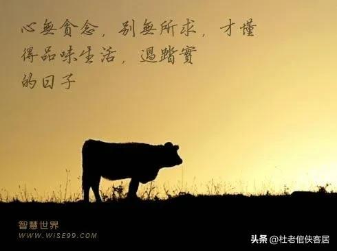 品读百味人生之－－漫谈贪欲与学习这件事情