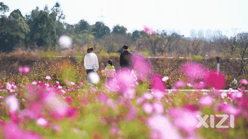惠州拍照好看的推荐,惠州拍写真的地方推荐