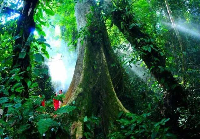 云南西双版纳旅游攻略app,云南西双版纳旅游攻略自由行12月