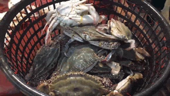 秦皇岛开海海鲜图片,开海后的生猛海鲜已抵达秦皇岛